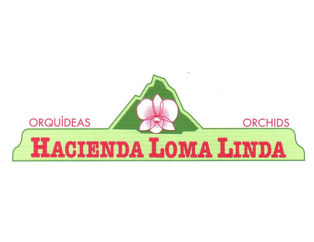 HACIENDA LOMA LINDA